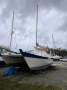 Wharram Tiki 38