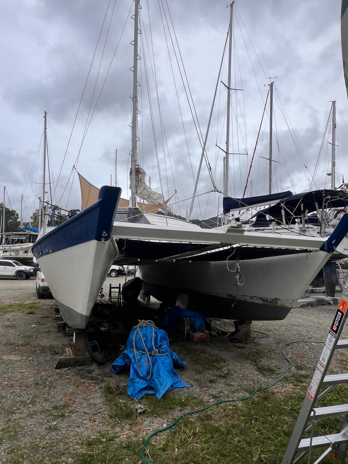 Wharram Tiki 38