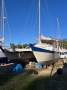 Wharram Tiki 38