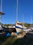 Wharram Tiki 38