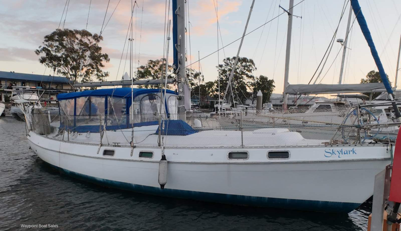Morgan Out Island 41