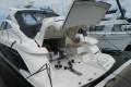 Fairline Targa 52