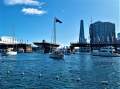 SYDNEYS VIVID 2026 LIGHT SPECTACULAR - DARLING HARBOUR MARINA BERTHS