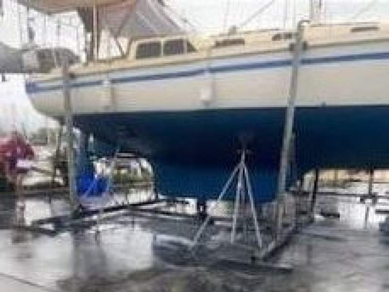 Arends 33