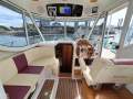 Arvor 280AS