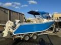 Blade FISHING BOAT JOHNSON FOUR STROKE LOTS OF EXTRAS