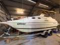 Wellcraft 2400 Martinique