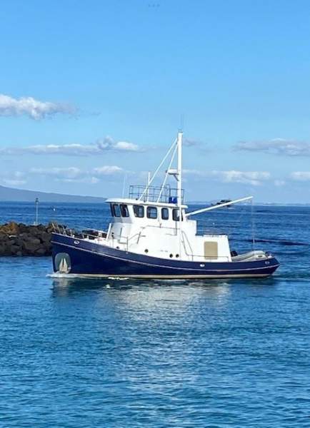 Infini 41 Coastal Tug