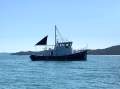 Infini 41 Coastal Tug