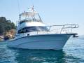 Rodman 1290 Fisher Pro