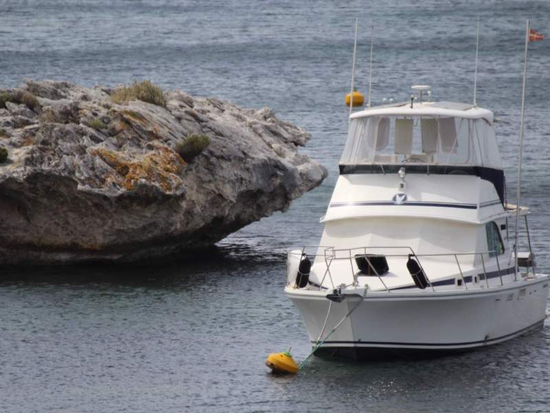 Caribbean 35 Flybridge Cruiser