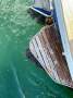 Cooper Sloop 745