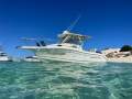 Seaswirl Striper 2301 Wa