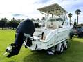 Seaswirl Striper 2301 Wa