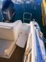 Haines Hunter 650 Horizon LOW HOURS, BRILLIANT CONDITION, TRAILER INCL.