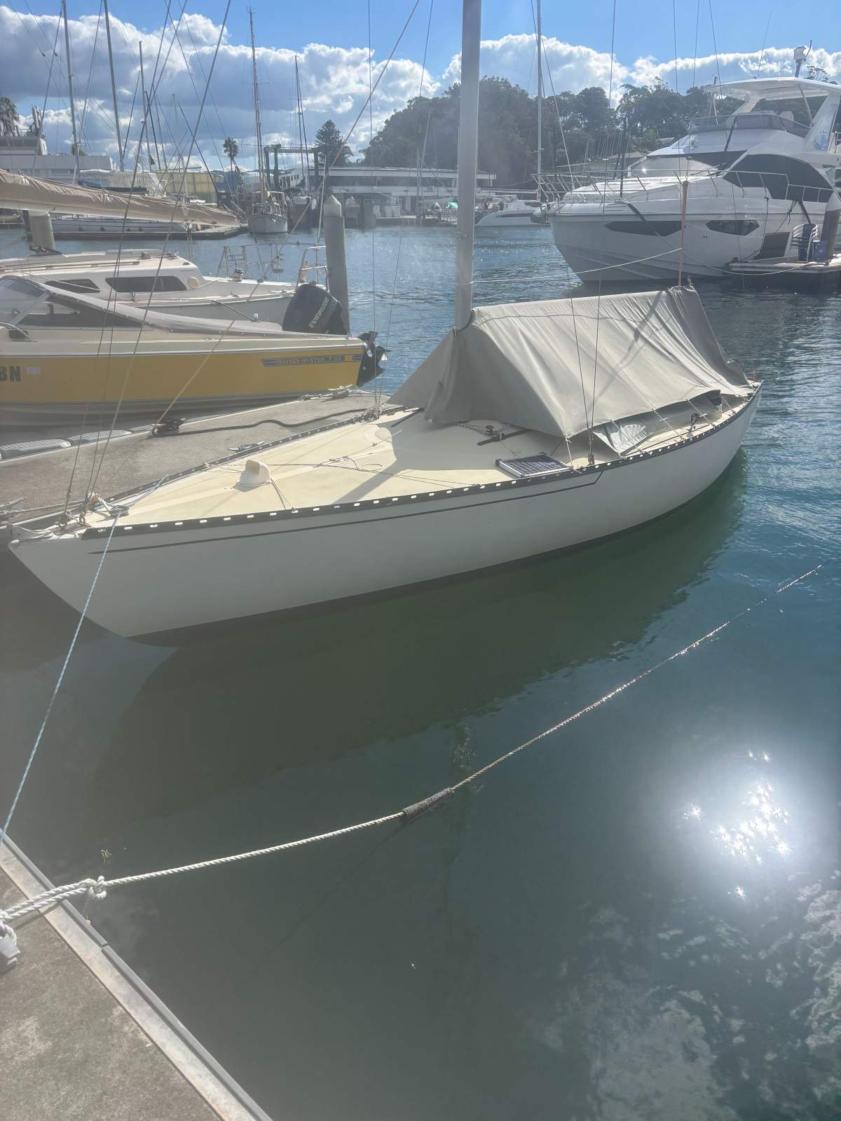 Swanson Dart 22