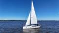 Beneteau Sense 50