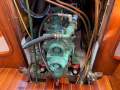 Davidson 46