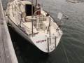 Carter 30