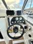 Campion QUALITY VERSATILE, FISHING, LUXURY, FAMILY CRUISER