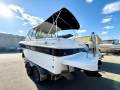 Campion QUALITY VERSATILE, FISHING, LUXURY, FAMILY CRUISER