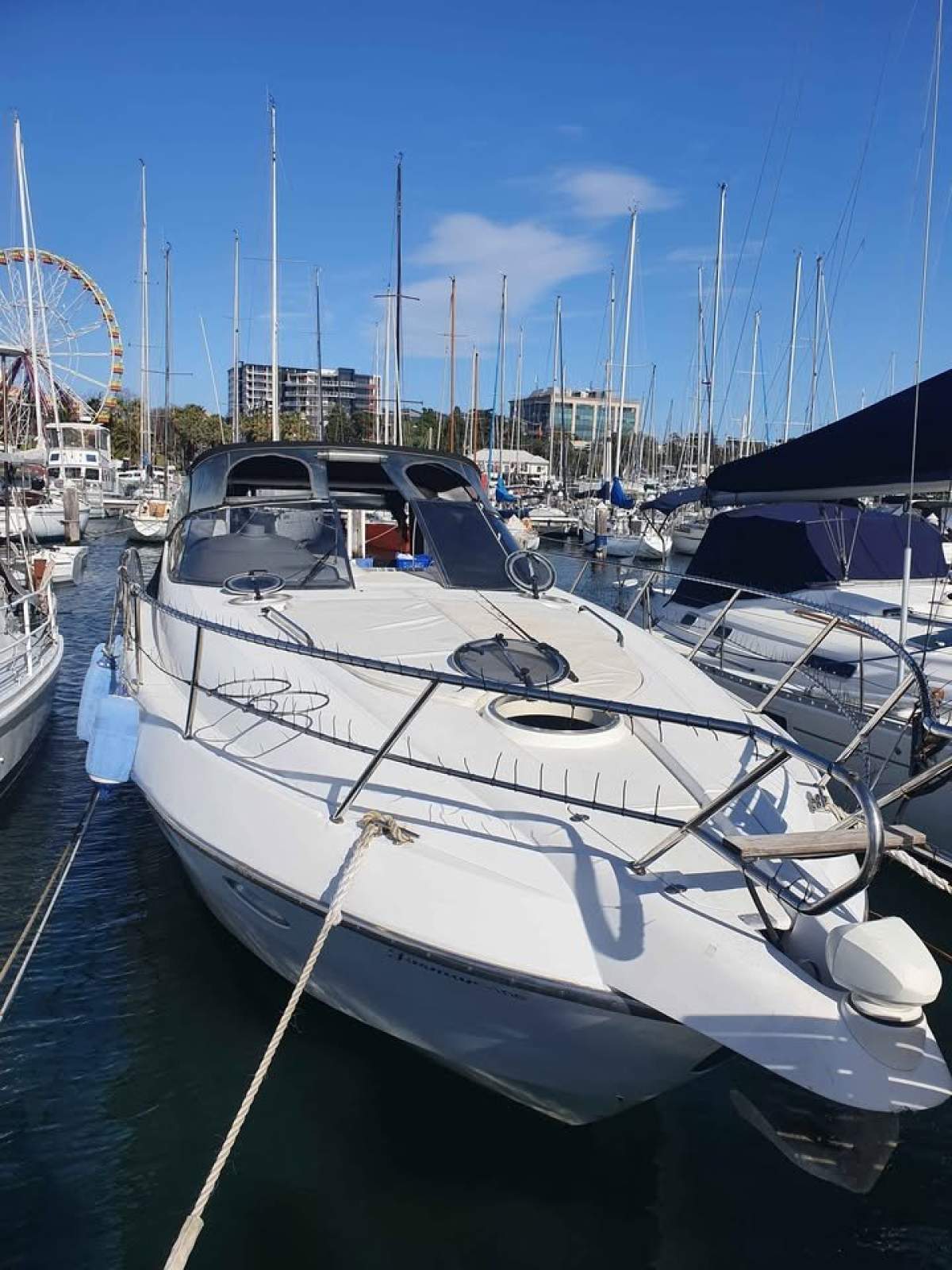 Sessa Oyster 38