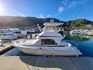 Riviera 34 Platinum Flybridge