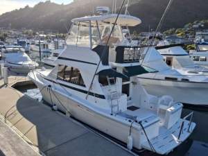 Riviera 34 Platinum Flybridge