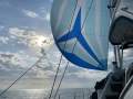 Lightwave 35