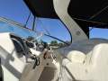 Sea Ray 355 Sundancer - Fresh service, antifoul and detail!