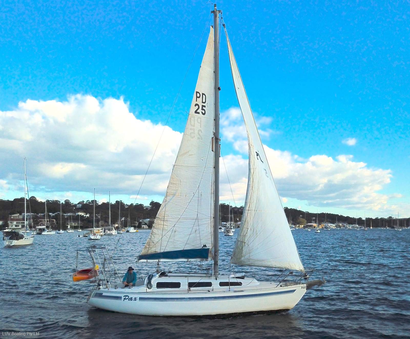 Doven 30