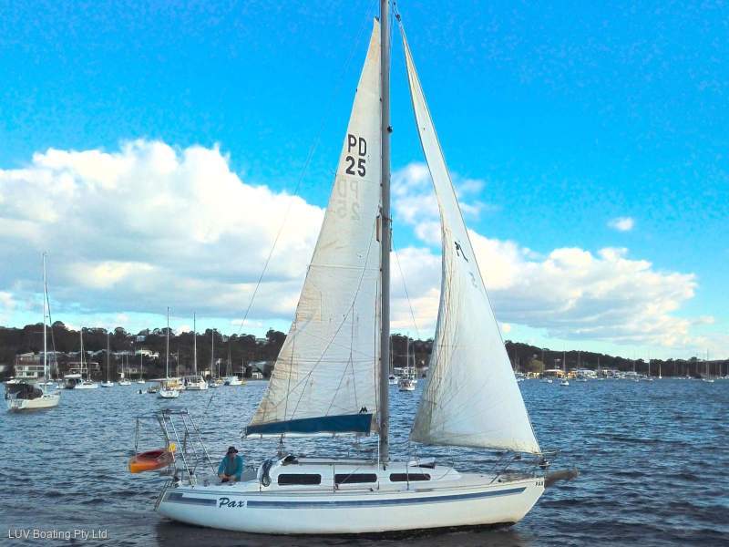 Doven 30
