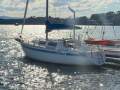 Doven 30