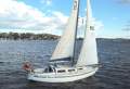 Doven 30