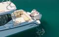Boston Whaler 325 Conquest (with SeaPen)