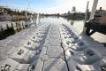 FLOAT DOCK SUIT UP TO 8m