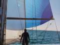 Nelson Marek 43
