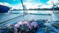 Seawind 1000 AMSA survey 1E, 2D and 4E