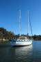 South Coast 36