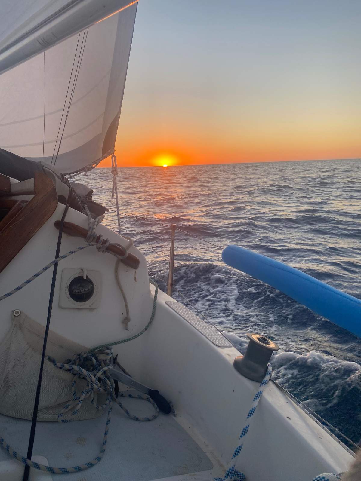 Austral 24