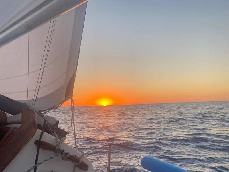Austral 24