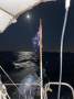 Austral 24