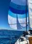Austral 24:Spinnaker set solo