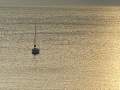 Austral 24:Pt willunga