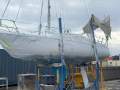 Austral 24