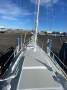 Austral 24