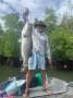 Chung Hwa 46 Flybridge Cruiser