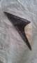 Sailboat yacht genoa sail can post