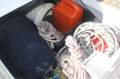 Beneteau First 33.7 Great Condition