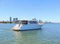 Island Gypsy 480